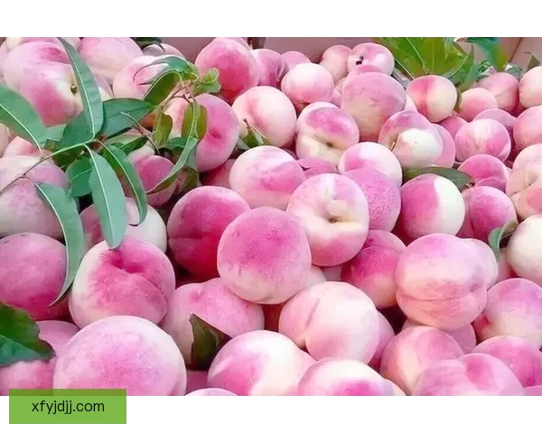 a🔴🍑我好🔴痒🔴pp，这背后究竟隐藏着什么秘密？ 